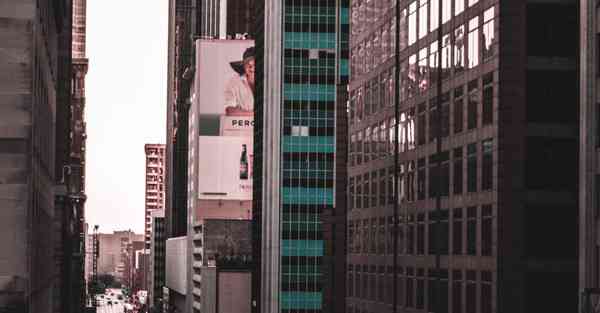 佛跳墙永久v2. 	