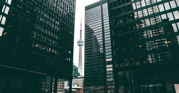api免费代理ip地址